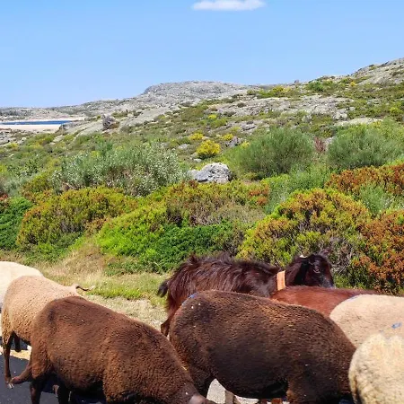Hébergement de vacances Raizes Da Estrela - Gouveia (Guarda)