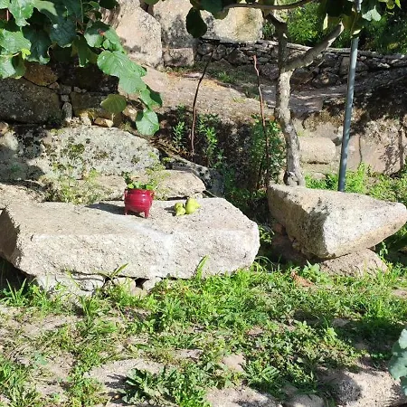 Hébergement de vacances Raizes Da Estrela - Gouveia (Guarda)
